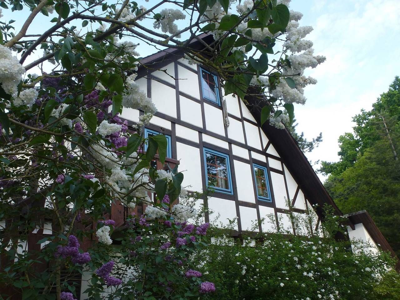 Ganze Ferienwohnung, Ferienwohnung Am Walde - Ferienwohnung in Buxtehude, Altes Land Stade