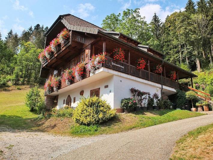 Ganze Wohnung, Ferienwohnung 'Waldblick, 50 Qm' mit Gemeinschaftsgarten, Balkon und Wi-Fi in Bad Rippoldsau-Schapbach, Wolftal Region