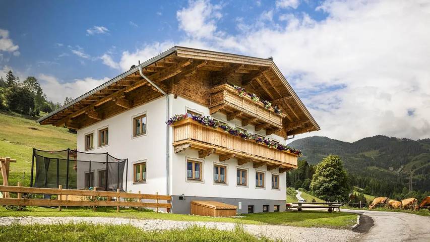 Hütte für 4 Personen, mit Garten und Terrasse in Mühlbach am Hochkönig - 3