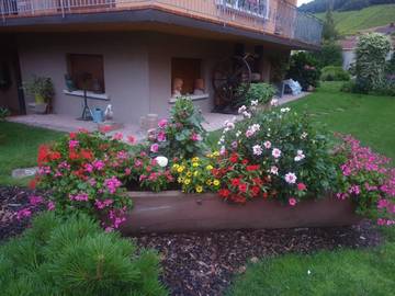 Gîte pour 2 personnes, avec vue et jardin à Andlau
