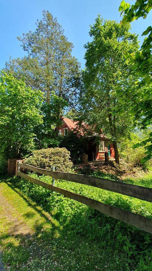 Ferienhaus für 9 Personen, mit Terrasse und Garten in Lauta - 3