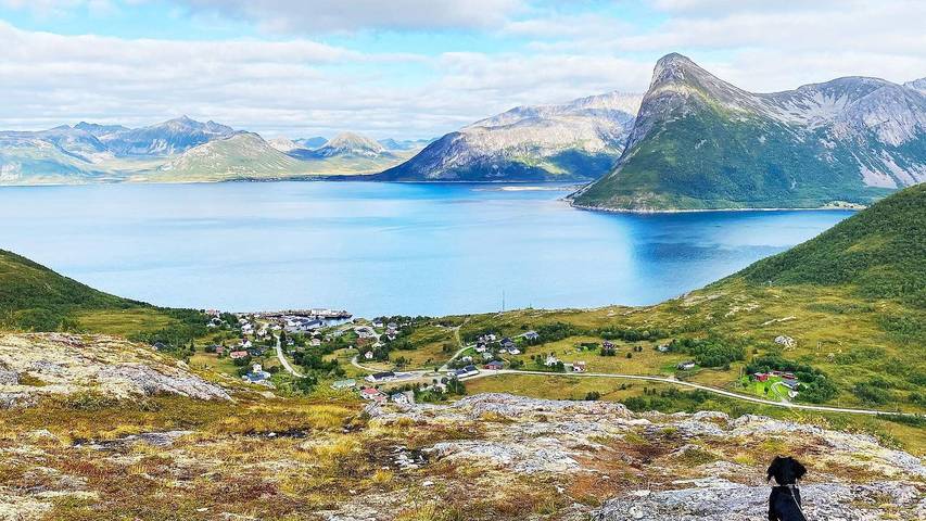Ferienhaus für 5 Personen, mit Garten, mit Haustier in Troms - 3