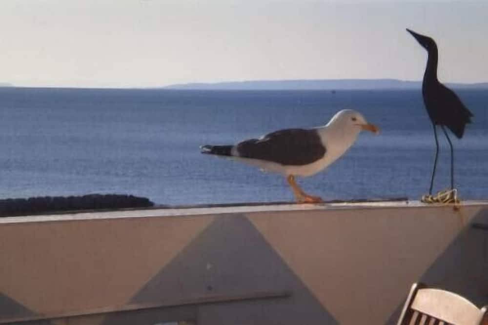 Appartement de vacances