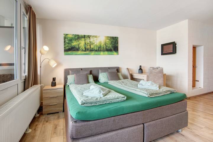Studio für 3 Personen, mit Kinderpool und Sauna sowie Balkon im Bayerischer Wald - 4