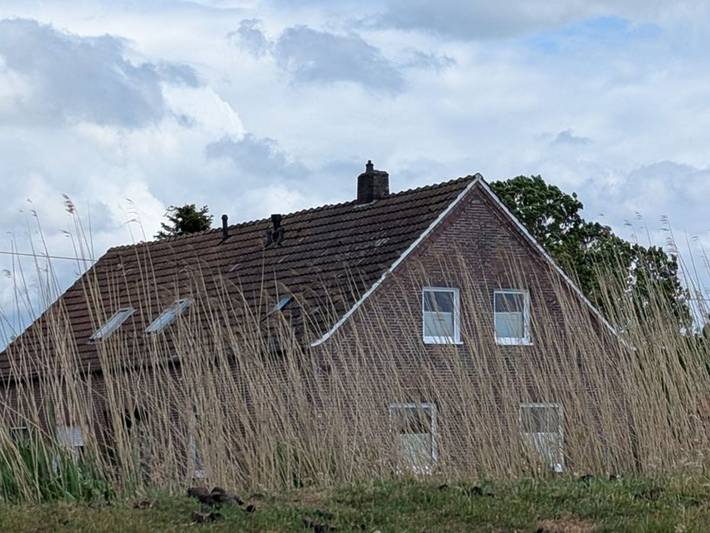 Ferienwohnung für 3 Personen, mit Terrasse und Garten in Ostrhauderfehn