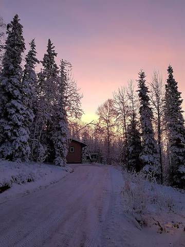 Hütte für 2 Personen in Fairbanks, Alaska, Bild 4