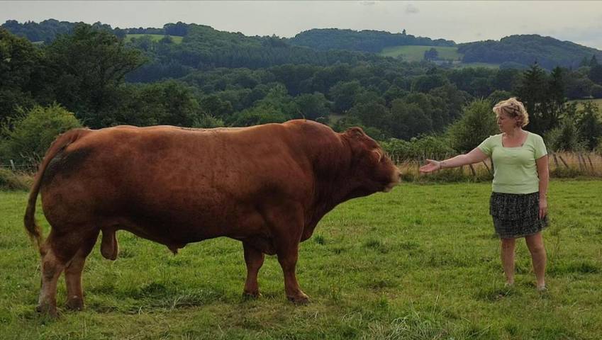 Gîte pour 5 personnes, avec vue à Saint-Vitte-sur-Briance - 2