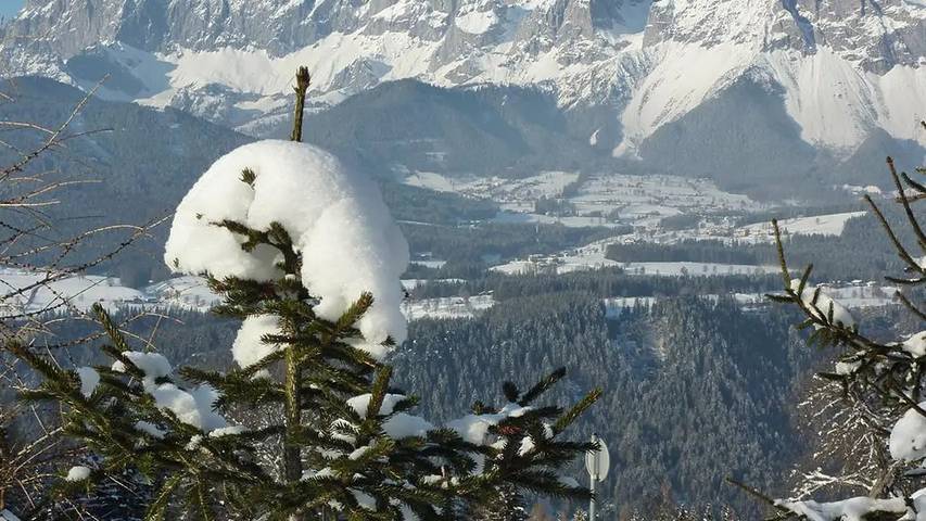Hütte für 4 Personen, mit Garten in Rohrmoos - 3