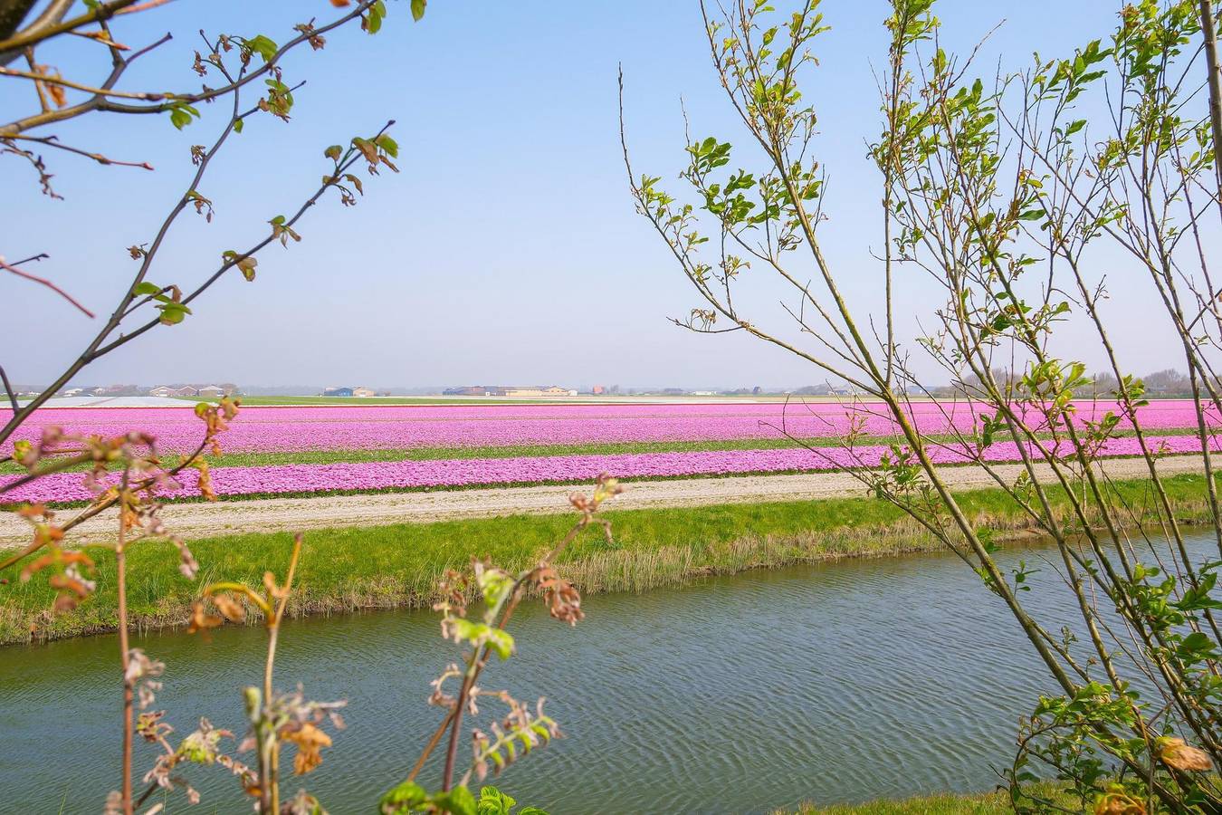 Vrijheid aan de kust — Regina in Julianadorp, Niederländische Nordsee