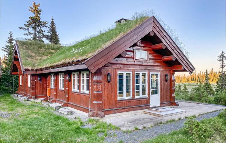 Location de vacances pour 5 personnes, avec jardin dans Sjusjoen - 2