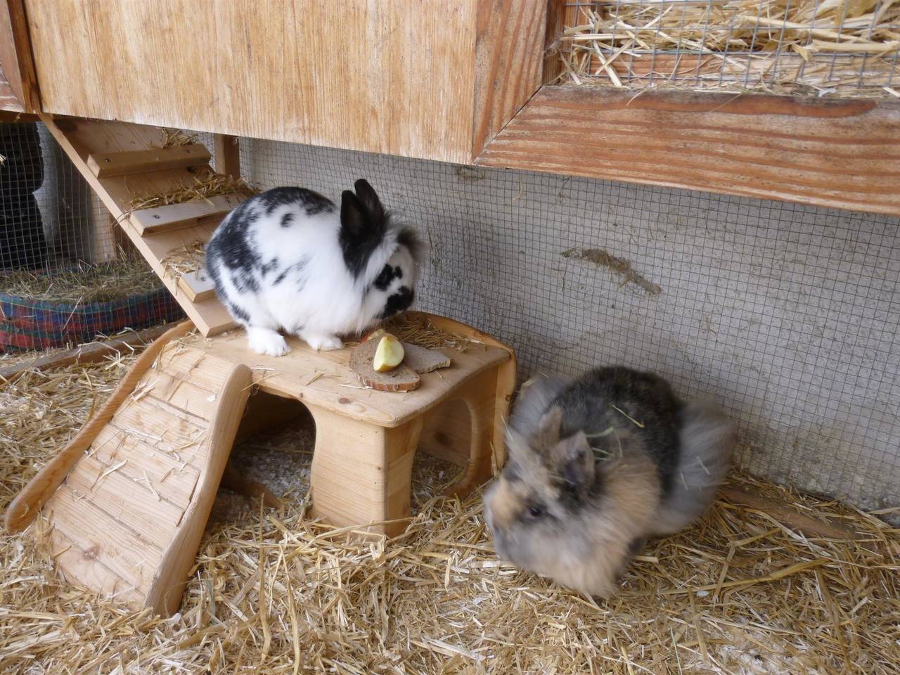 Ganze Ferienwohnung, Ferienwohnung für 6 Personen mit Garten in Roßleithen, Totes Gebirge