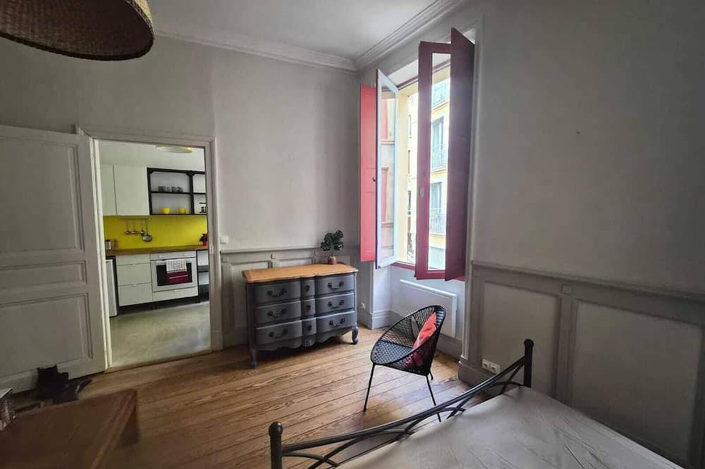 Entire apartment, Apartment historic center Crest in Crest, Die region