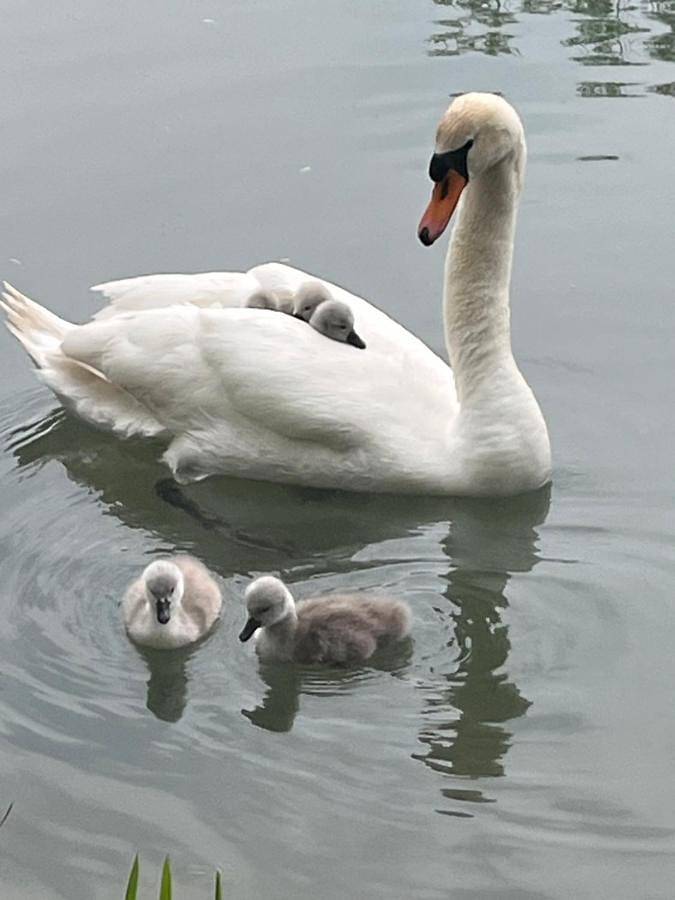 Location de vacances pour 2 personnes, avec vue à Saint-Just-Sauvage