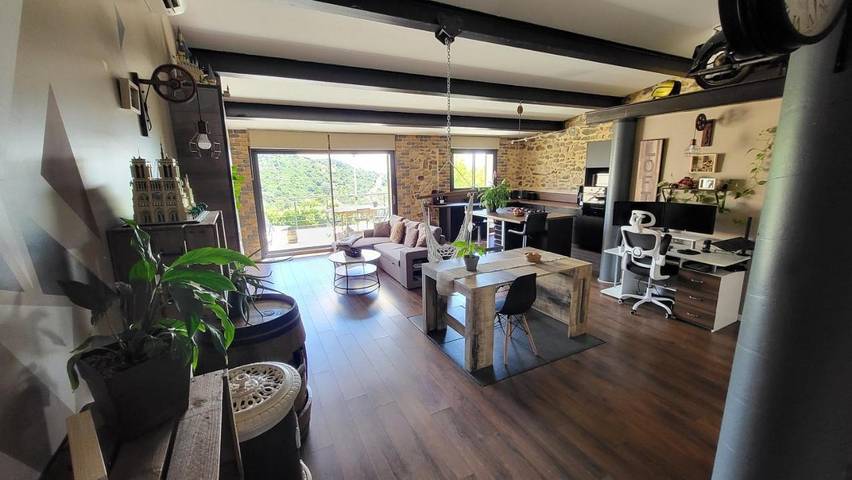 Location de vacances pour 4 personnes, avec Terrasse et Vue à Bélesta - 4