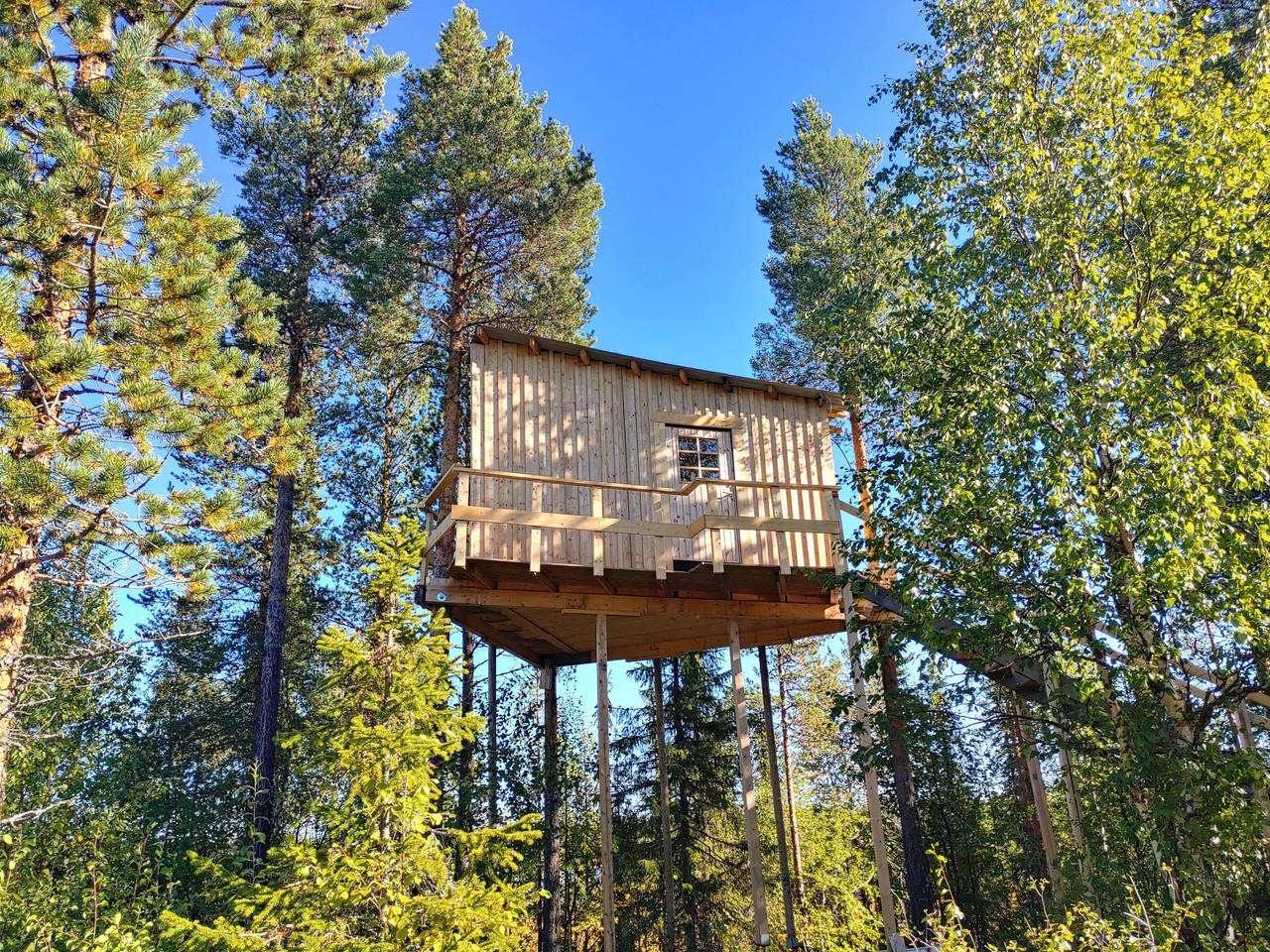 Ganze Wohnung, Aurora Lodge in Lappland (Schweden)