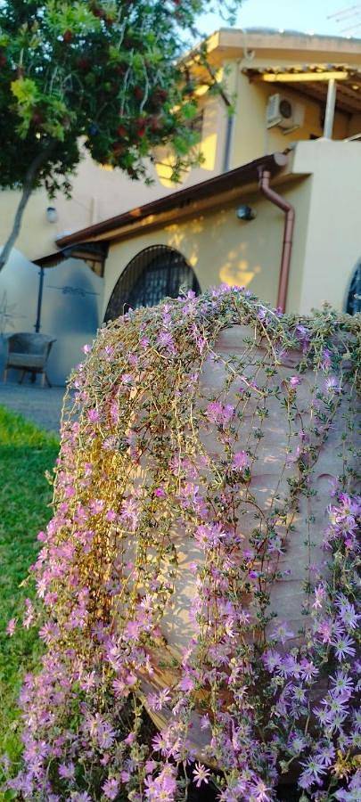 Villa Frantina in Capitana, Quartu Sant'Elena