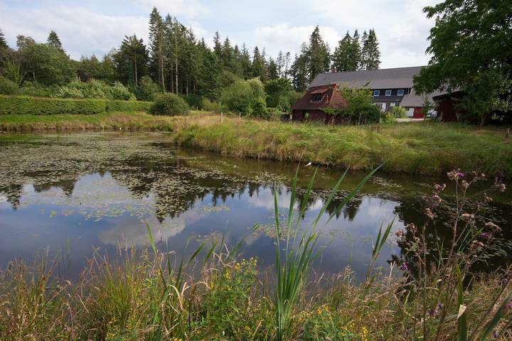 Ferienhaus für 3 Personen, mit Garten und Sauna sowie Seeblick in Osterrade - 4