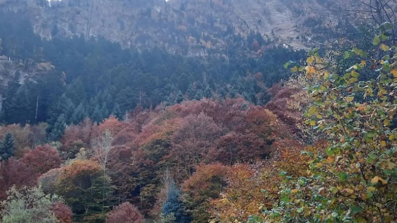 Apartamento vacacional entero, Ferienwohnung für 4 Personen (28 m²) in Guchen in Guchen, Parque nacional de los Pirineos