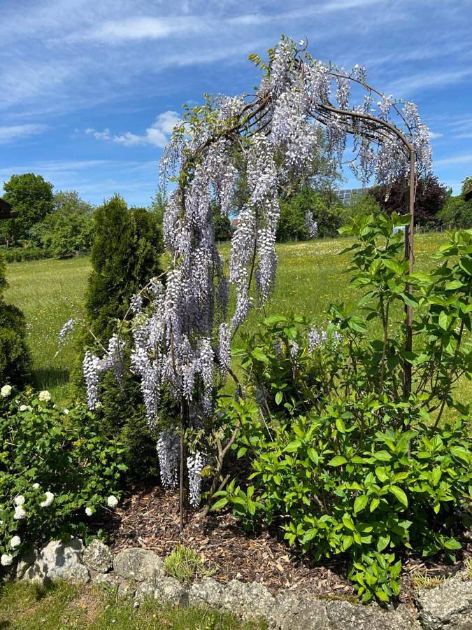 Ganze Wohnung, Haus Wiesenblick in Thurmansbang, Ostbayern