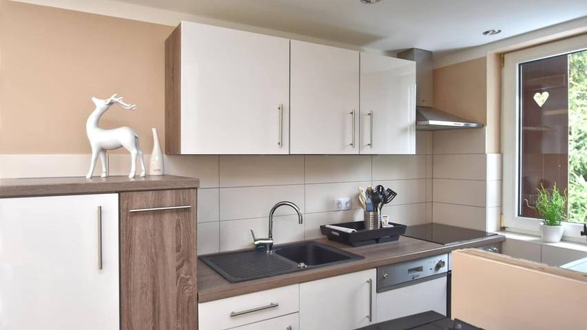 Ferienhaus für 5 Personen, mit Pool und Garten im Ostharz - 4