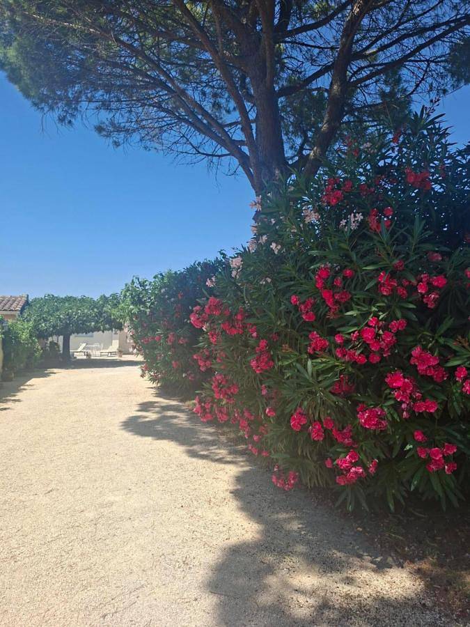 Maison de vacances pour 2 personnes, avec vue et terrasse