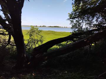 Ferieudlejning til 8 Personer i Præstø, Svenske Østersøen, Billede 4