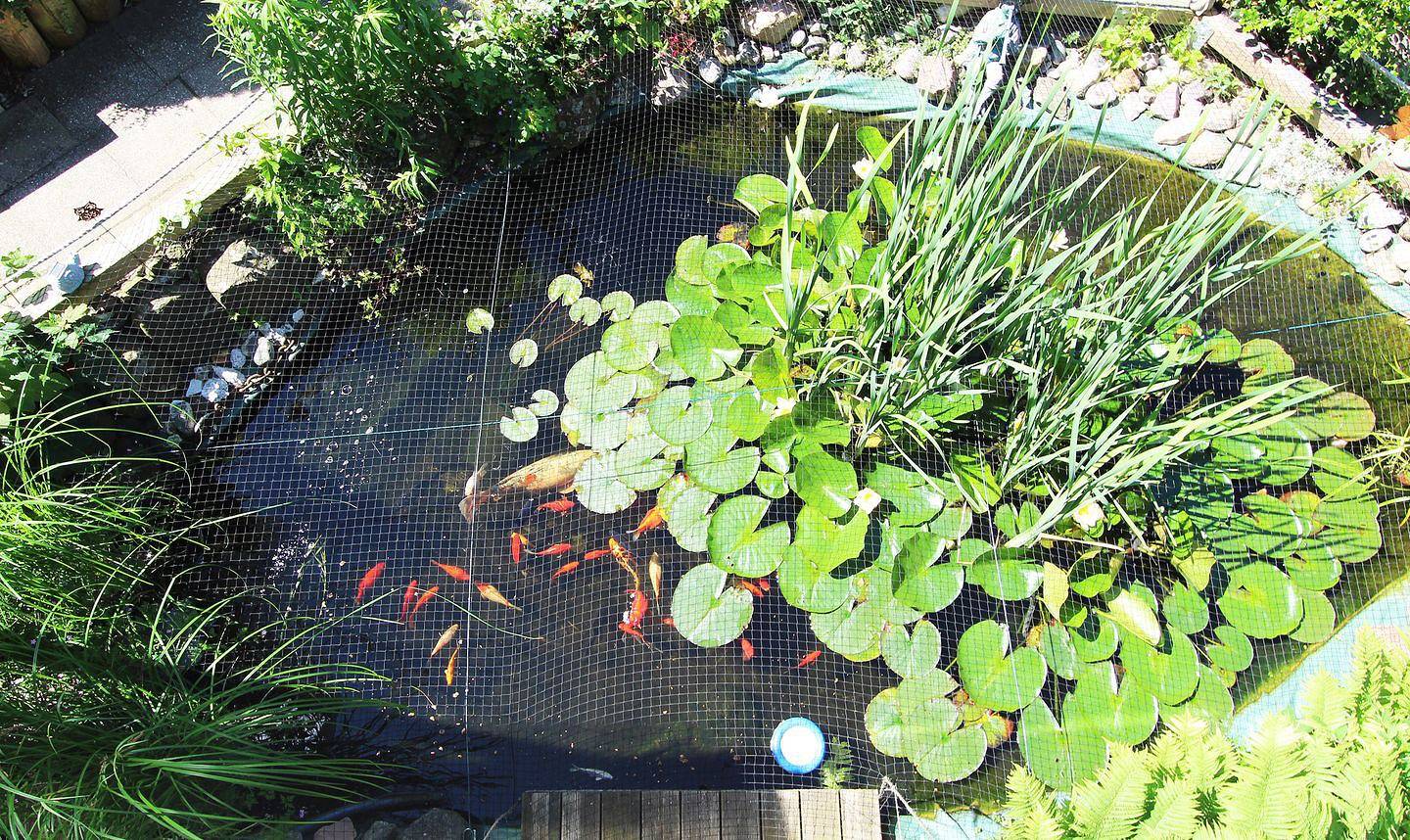 Ganze Wohnung, Familienwohnung mit Terrasse, Garten und umfangreicher Ausstattung in Kröpelin in Kröpelin, Rostock und Umgebung