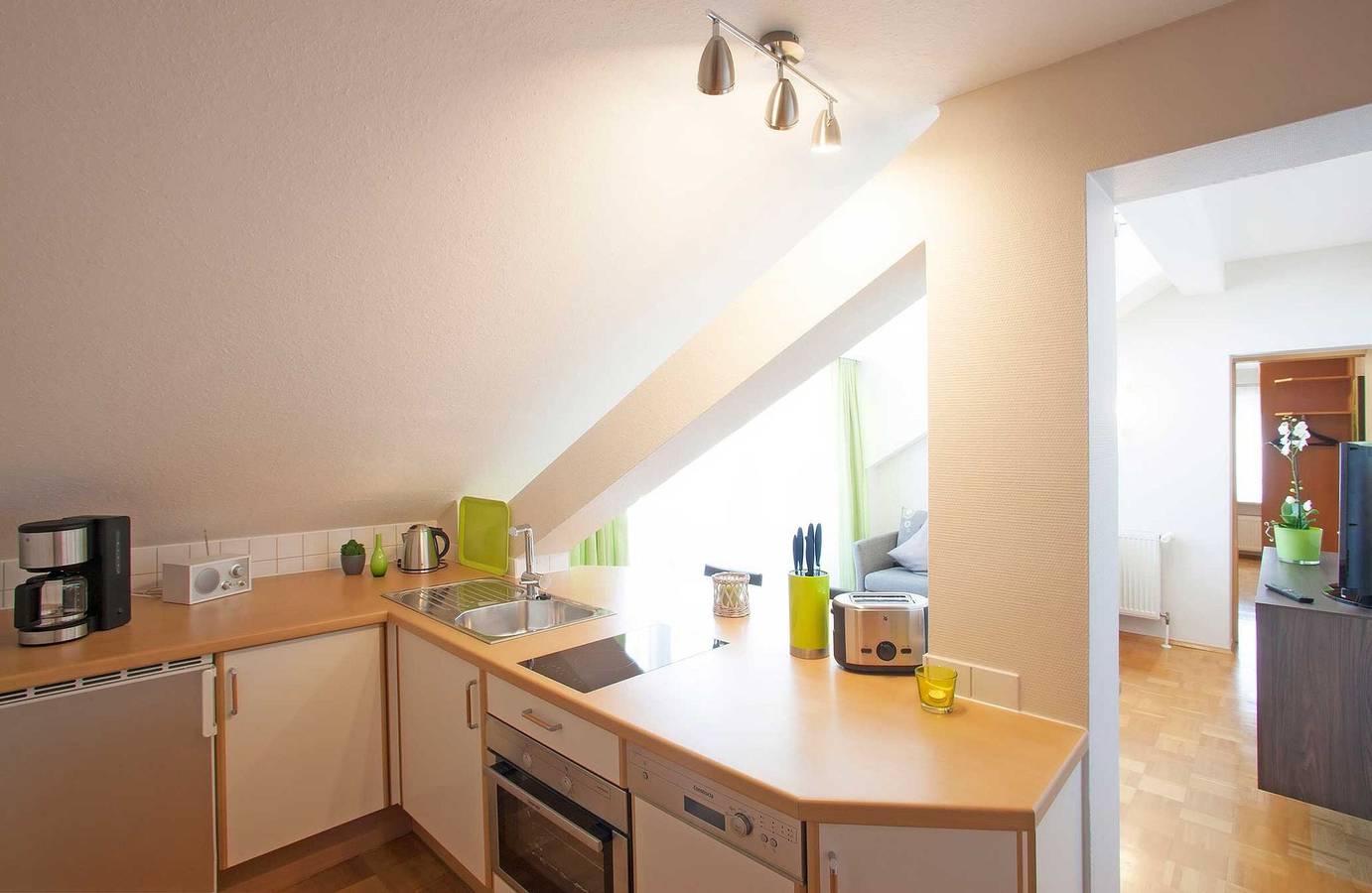 Ganze Wohnung, Appartement 5, 45qm, 1 Schlafzimmer, 1 Wohn-/Schlafzimmer, max. 3 Personen in Wasserburg (Bodensee), Bayerisch Schwaben