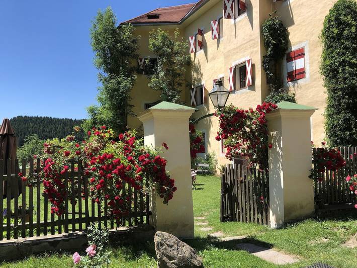 Hotel für 1 Personen, mit Haustier - 1
