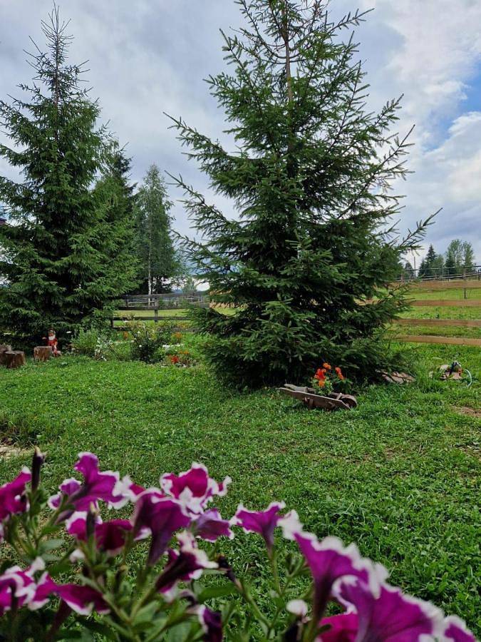 Location de vacances pour 4 personnes, avec jardin et vue dans Dorna-Arini - 2