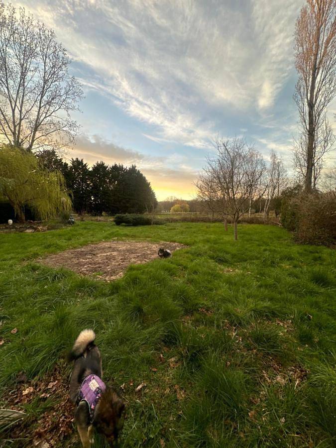 Camping pour 5 personnes, avec vue et terrasse ainsi que vue sur le lac et jardin, animaux acceptés dans Loiret - 2