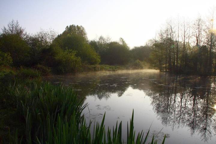 Location de vacances pour 8 personnes, avec jardin à Saint-Quay-Perros - 4