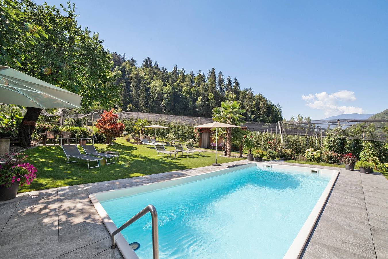 Ganze Wohnung, Apartment "Flieder" mit Bergblick, Pool, Wlan, Balkon und Garten in Saltaus, Riffian