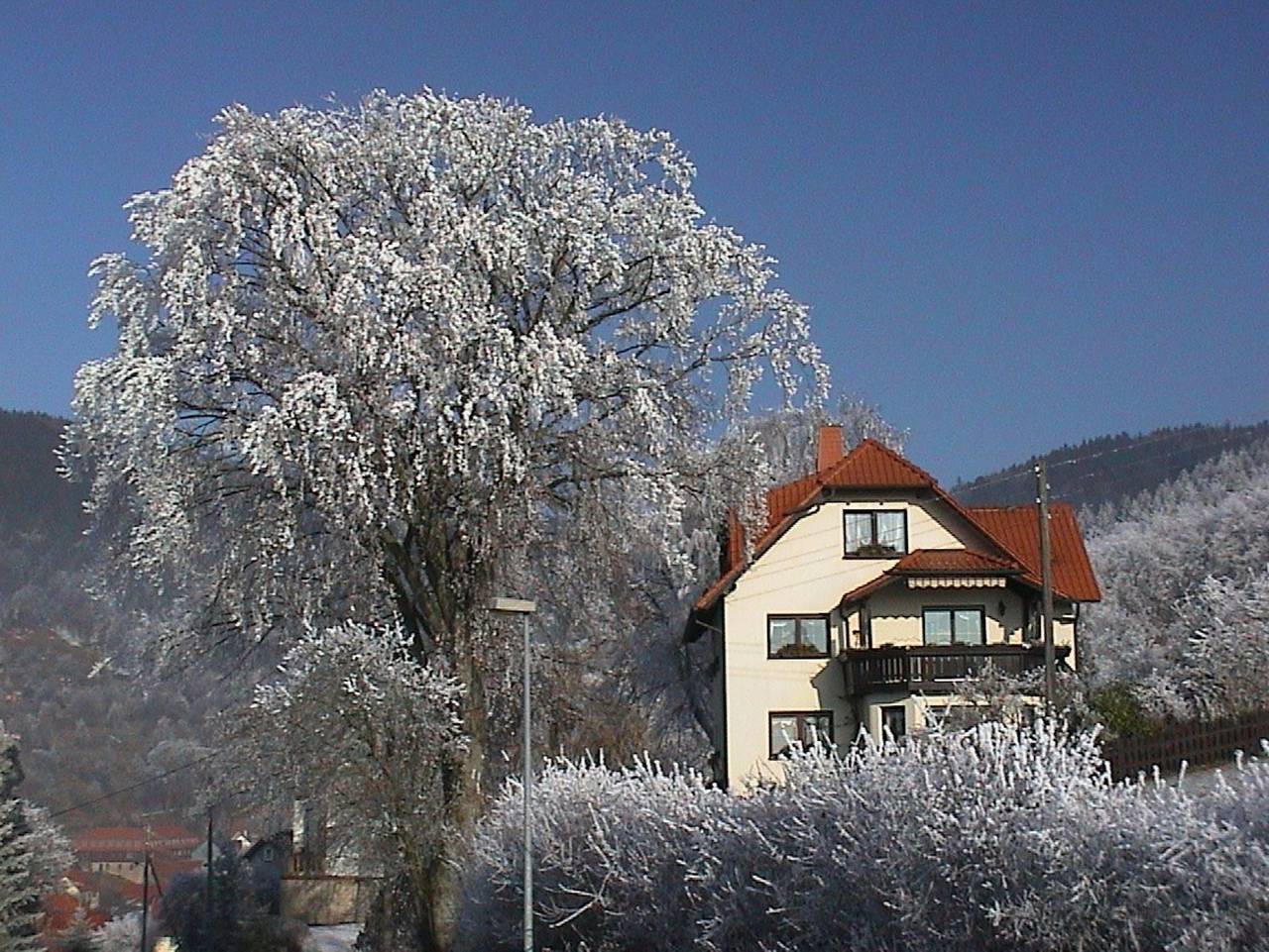 Ganze Ferienwohnung, Ferienwohnung Panorama - Ferienwohnung in Frankenblick, Frankenwald