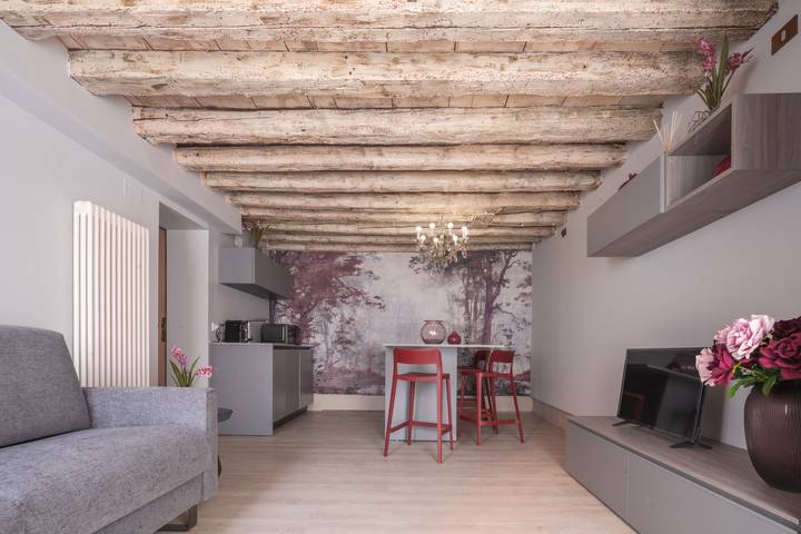 Ferielejlighed for 3 personer, husdyr tilladt i Venedig