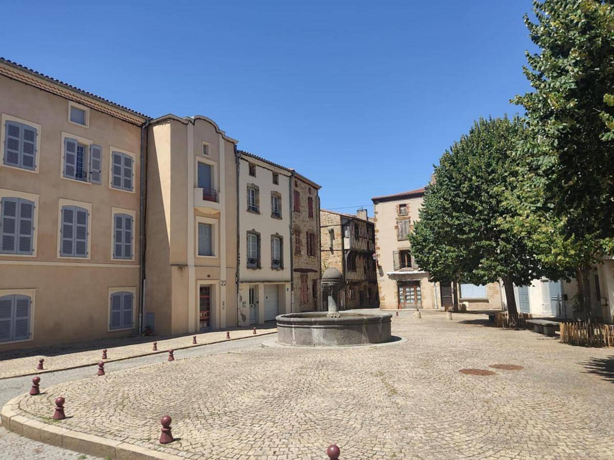Appartement entier, One-Bedroom Apartment in Vic-le-Comte, Parc Naturel Régional Livradois-Forez