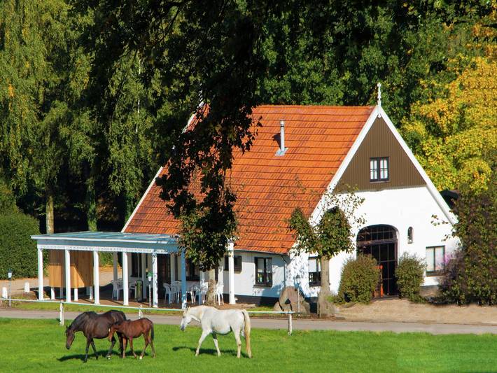 Ferienhaus für 4 Personen, mit Terrasse und Garten in den Niederlande