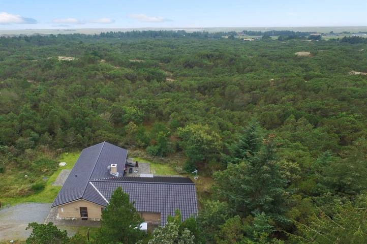 Ferienhaus für 8 Personen, mit Sauna und Terrasse sowie Whirlpool, mit Haustier in Blavand