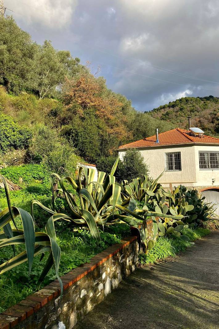 Location de vacances pour 2 personnes, avec jardin à Diano San Pietro - 4
