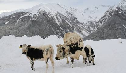 Appartamento per 2 Persone in Valle Aurina, Alto Adige, Foto 4