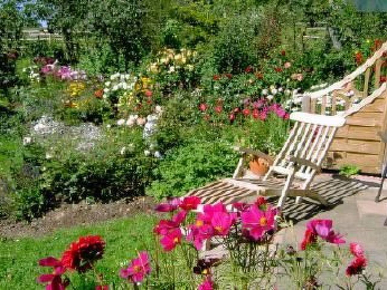 Ganze Wohnung, Wildfeuer in Kirchdorf im Wald, Ostbayern