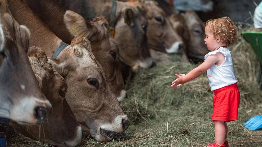 Ferienwohnung für 2 Personen, mit Garten in Immenstadt - 2