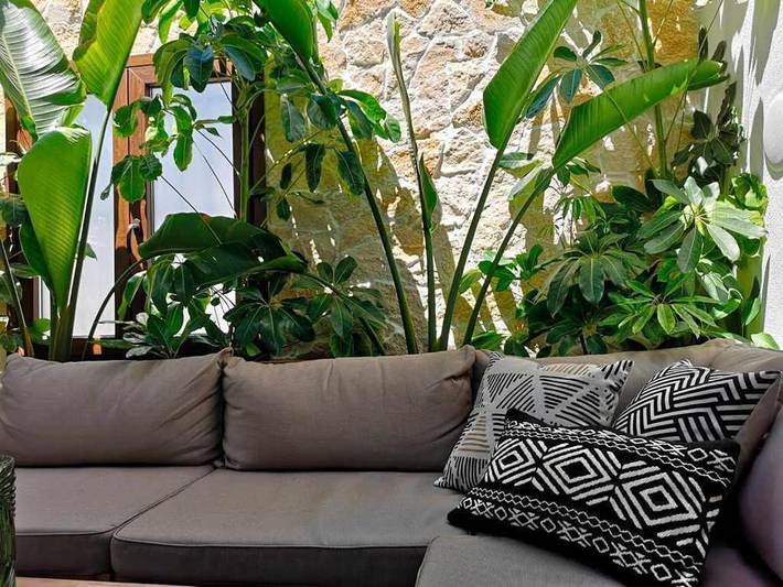 Casa rural para 6 personas, con terraza en Sanlúcar de Guadiana - 4