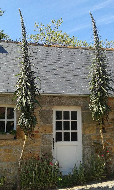 Chambre d’hôte pour 2 personnes, avec jardin en Normandie - 3