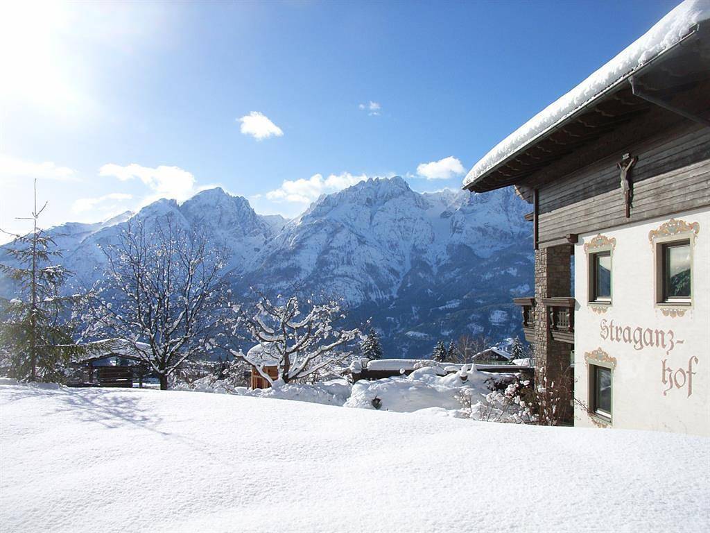 Entire holiday apartment, Straganzhof in Iselsberg-Stronach, East Tyrol