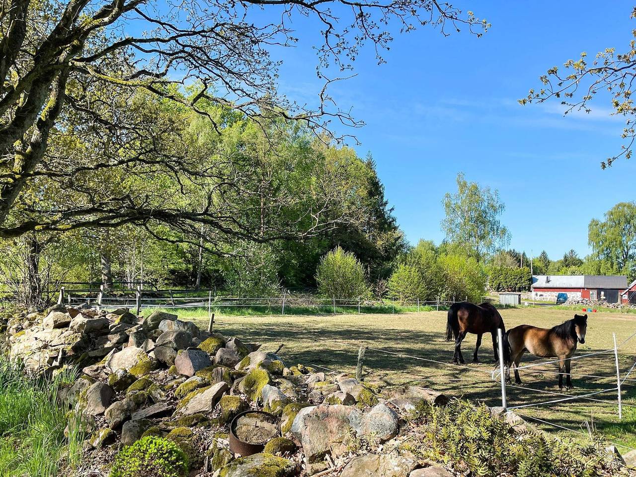 5 Personen Ferienhaus in Klippan in Hyllstofta, Klippan und Umgebung