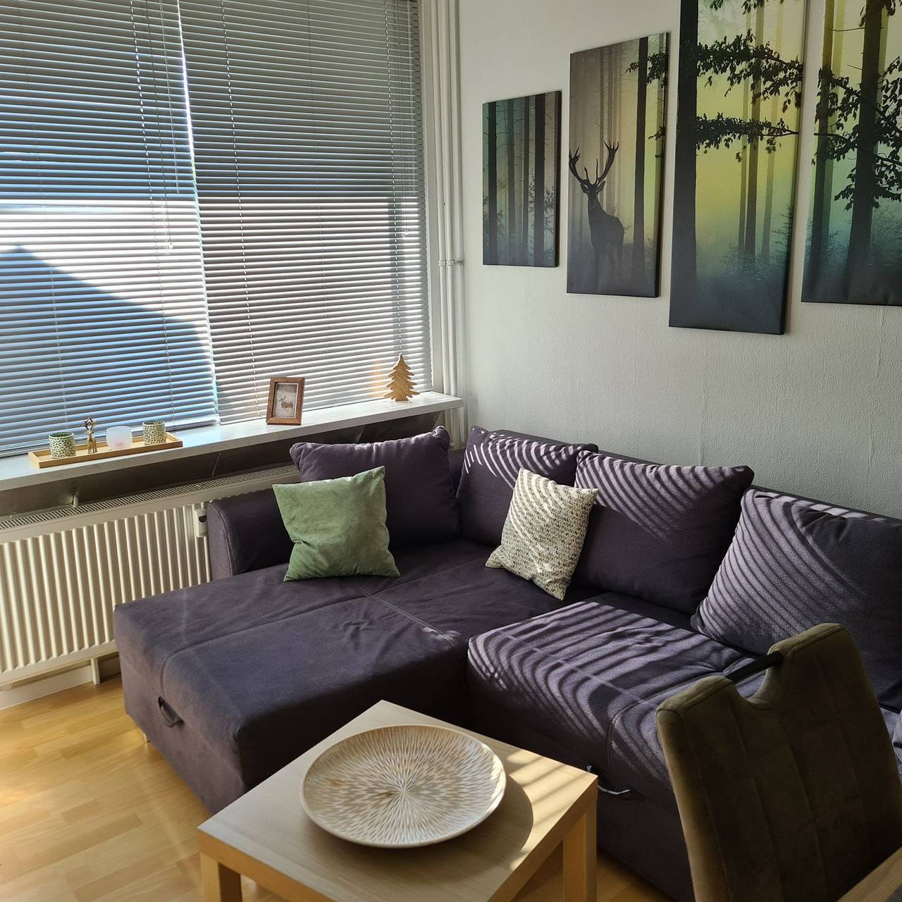 Ganze Wohnung, Ferienwohnung Haus 7 Appartement 101 in Hahnenklee, Goslar