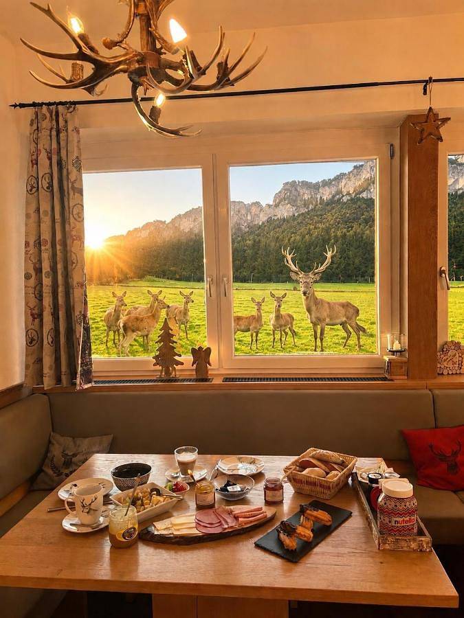 Maison d’hôte pour 2 personnes, avec Balcon et Terrasse ainsi que Jardin et Sauna à St. Johann in Tirol - 2