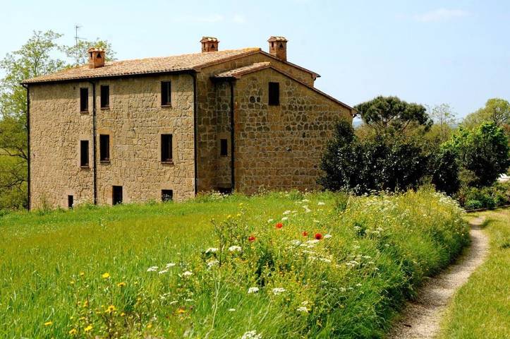 Gîte pour 2 personnes, avec jardin ainsi que piscine et terrasse, animaux acceptés à Pitigliano - 3