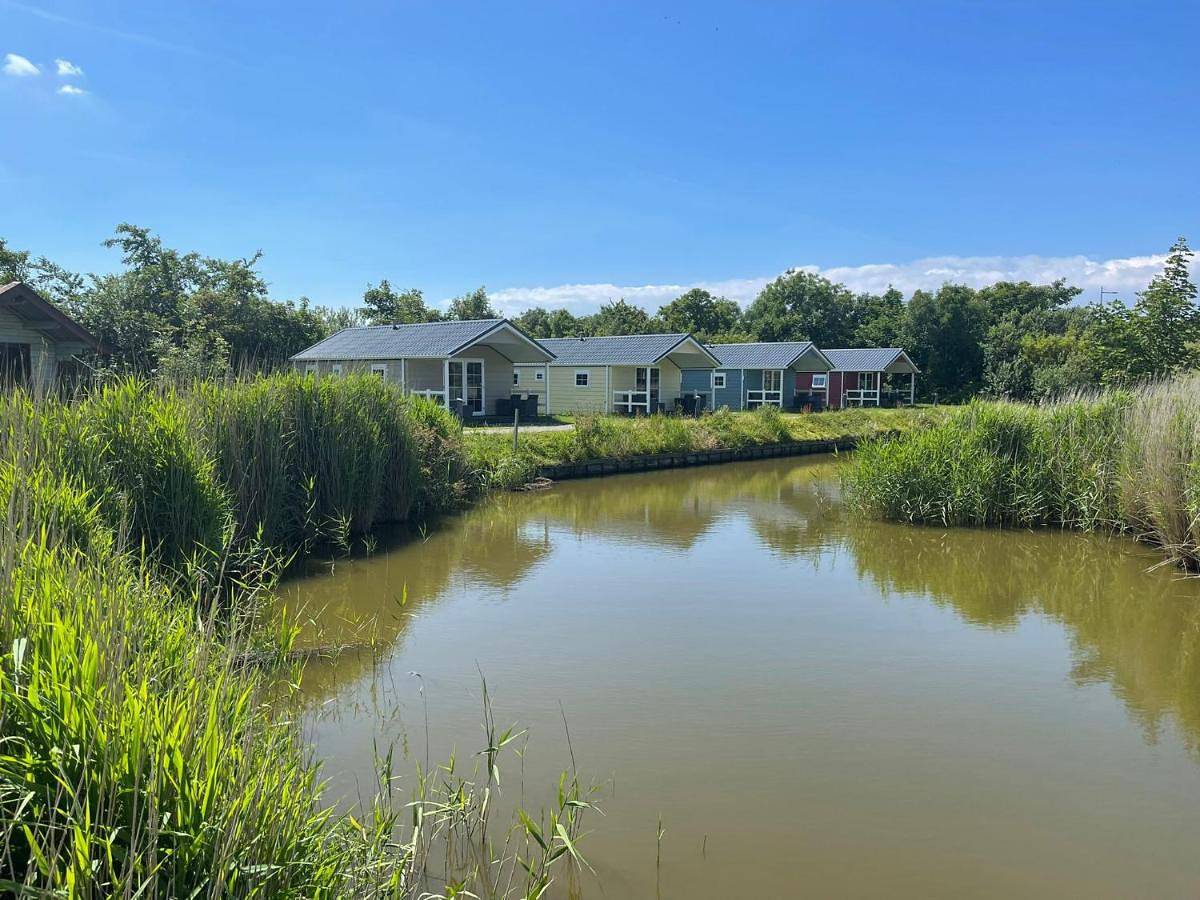 Luxe Lodge Zeehoeve in Harlingen, Nederlandse Noordzeekust
